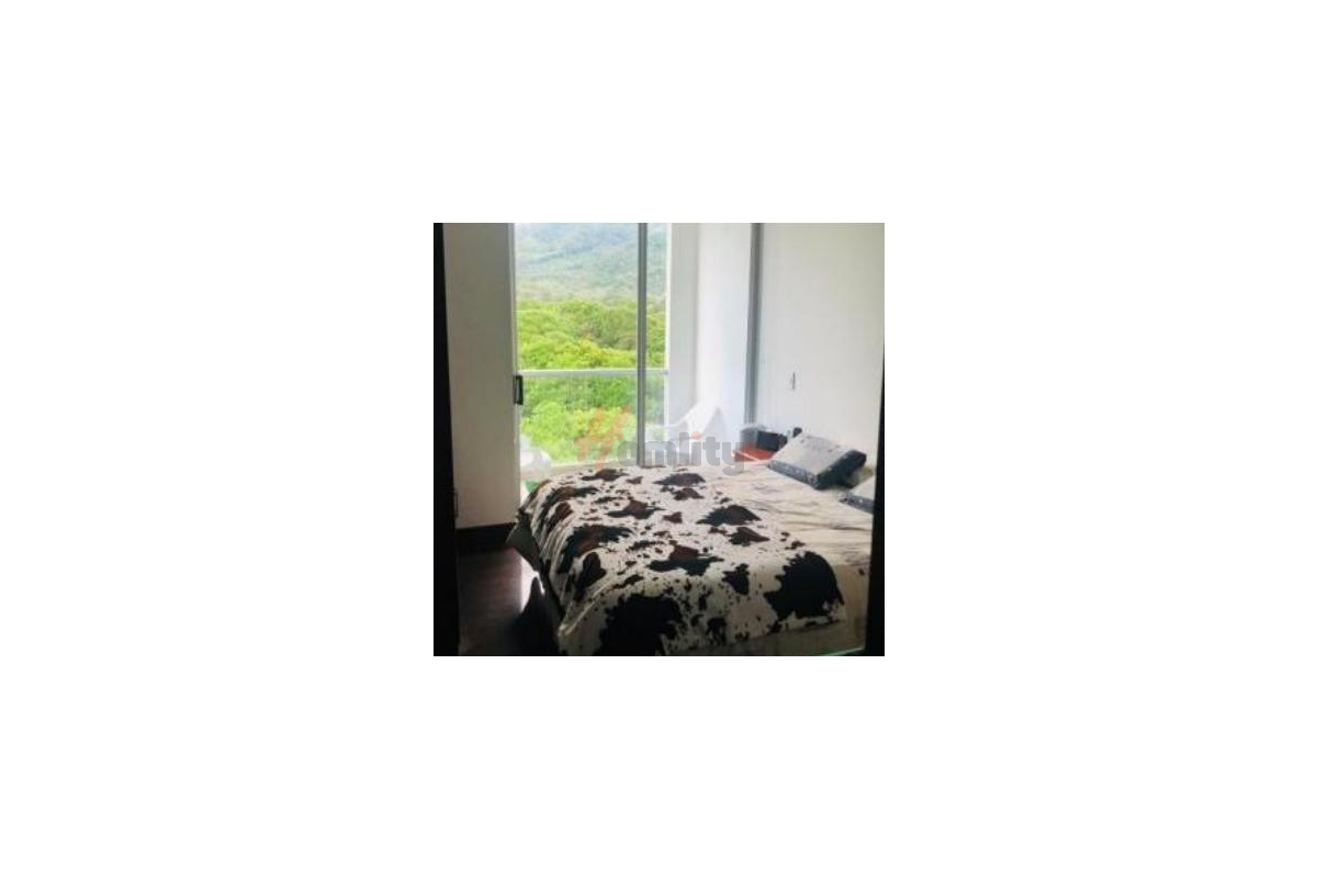 Apartamento en Arriendo en Ibagué - Vergel