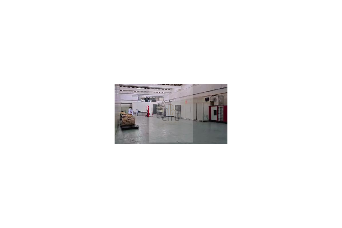 Bodega en Arriendo en Ibagué - La Francia